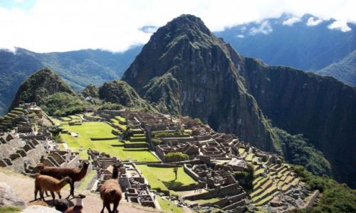 Zdjecie PERU / Andy / Machu Picchu / Miasto Inkw