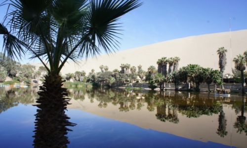 Zdjecie PERU / Ica / Huacachina / Odbicie