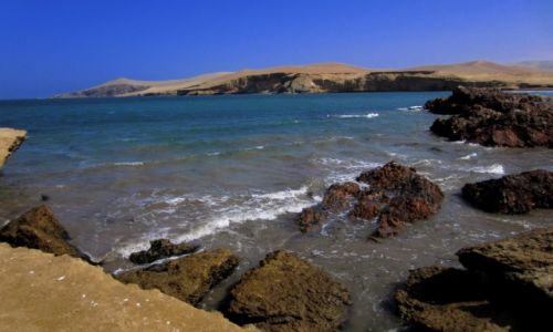 Zdjecie PERU / Wybrzeze Peruwianskie / Reserva de Paracas /  Paracas