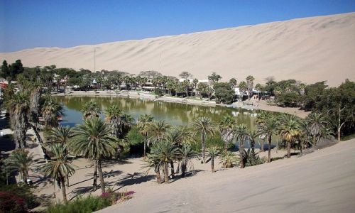 Zdjęcie PERU / W pobliżu Ica / Oaza Huacachina / Oaza wśród wydm