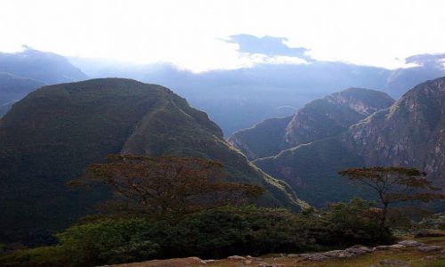 Zdjęcie PERU / Andy / Machu Picchu  / Machu Picchu (4)