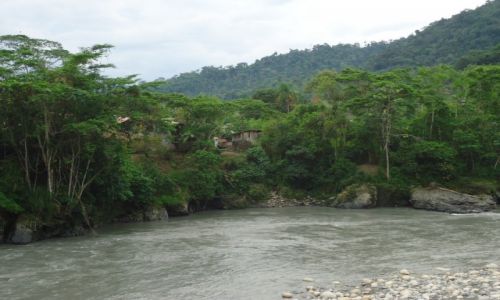 Zdjcie PERU / Madre de Dios / Pilcopata / Wioska w dungli
