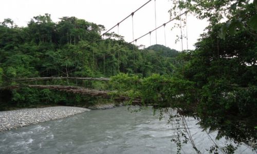 Zdjcie PERU / Madre de Dios / Pilcopata / Stary most