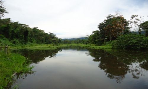 Zdjcie PERU / Madre de Dios / okolice Salvacion / Jeziorko