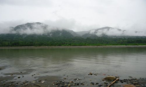 Zdjcie PERU / Madre de Dios / okolice Salvacion / Lasy deszczowe