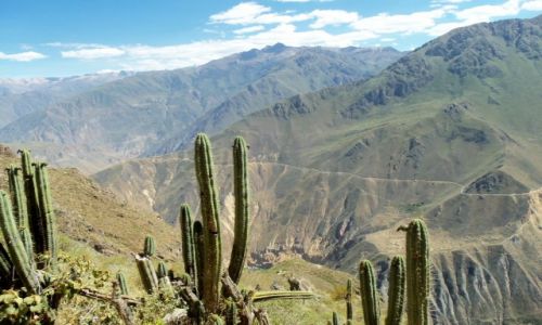 Zdjecie PERU / - / Colca Canyon / Colca 