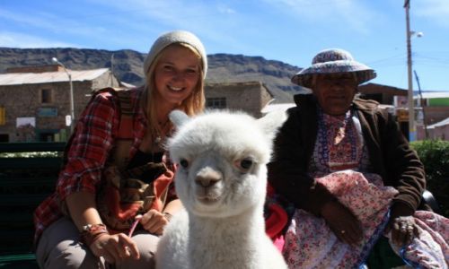 Zdjecie PERU / Kanion Colca / Cabanaconde / Peruwiaskie szczscie