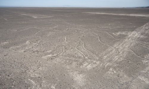Zdjecie PERU / Ica / Nazca / Geoglif - drzewo