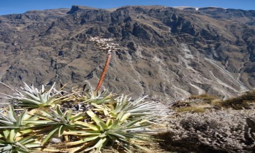 Zdjecie PERU / Arequipa / Kanion Colca / Krajobraz