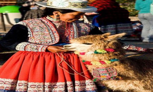 Zdjcie PERU / - / okolica Kanionu Colca / jaki kraj taki pupil
