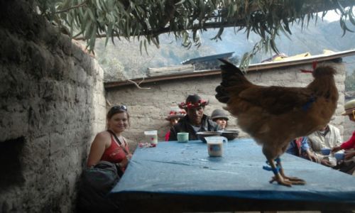 Zdjcie PERU / Arequipa / Cahuana / Kogut i chicha na stole. Imprez czas zacz