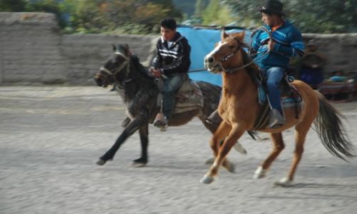 Zdjcie PERU / Arequipa / Cahuana / Zawody konne podczas uroczystoci