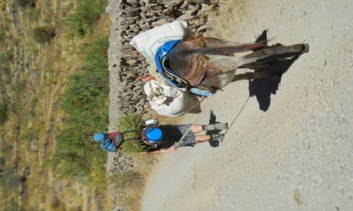 Zdjcie PERU / Arequipa / Alca / Wyruszamy po przerwie w Alca (zdjcie do artykuu)