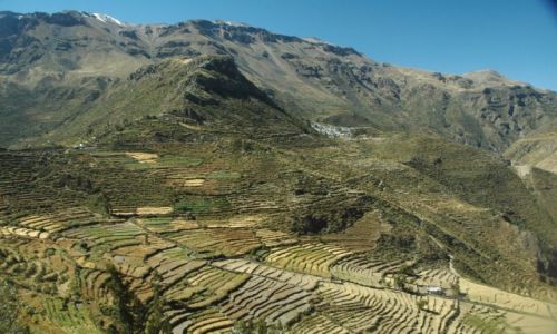 Zdjecie PERU / Arequipa / Puyca / Puyca
