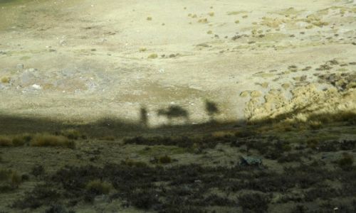 PERU / Arequipa / Peruwiaskie Andy / Ja Osio i On w Andach (zdj.do artyukuu)