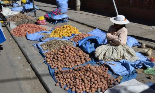 Zdjęcie PERU / Puno / targ w Puno / Królestwo ziemniaka