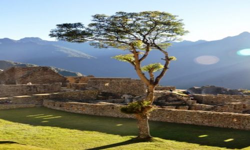 Zdjcie PERU / Cordillera Vilcabamba / Machu Picchu / W porannym blasku