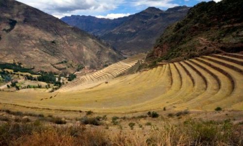 Zdjecie PERU / -Moray, Cusco / Pola uprawne w fazie wiosennej / Tarasy, uprawne pola.