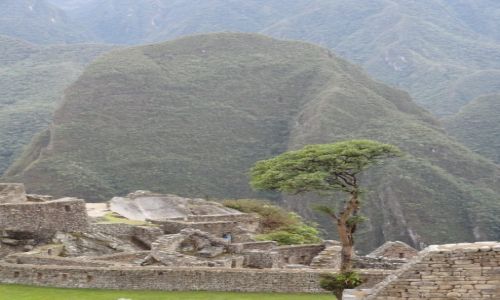 Zdjcie PERU / Cusco / Machu Piccu / **
