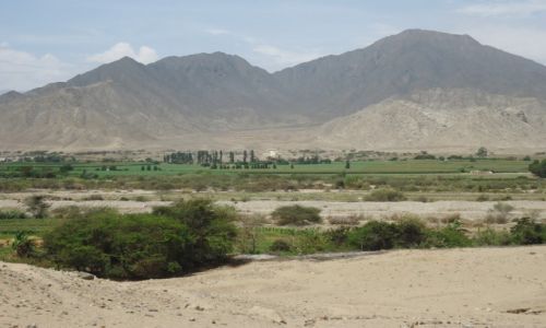 Zdjecie PERU / Prowincja Barranca / Departament Lima / Caral - Supe / Dolina Supe