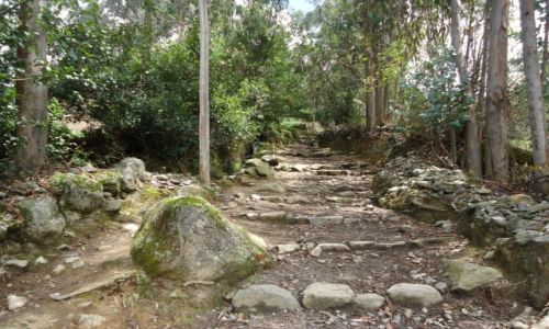 Zdjecie PERU / Ancash / okolice Huaraz / Inkaski szlak ...