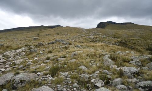 Zdjcie PERU / Ancash / okolice Huaraz / W grach