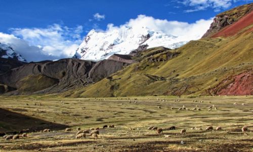 Zdjcie PERU / Cusco  / Ausangate  / Trekking wok piknej gry Ausangate