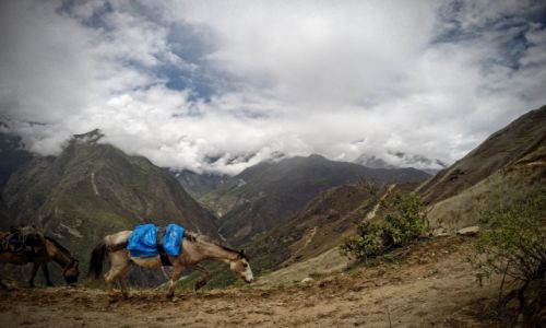 Zdjcie PERU / Cusco / Choquequirao / Podczas trekkingu