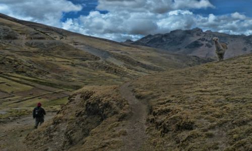 Zdj�cie PERU / Cusco / Larys / Czlowiek i Lama