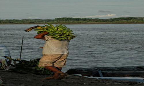 Zdjecie PERU / Iquitos / Nauta / Bananowy wiat 