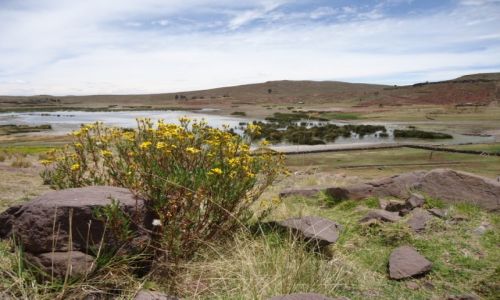 Zdjęcie PERU / Puno / Sillustani / Krajobraz (2)