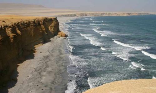 Zdjęcie PERU / brak / Rezerwat Paracas / Zachodnie wybrzeże Ameryki płd