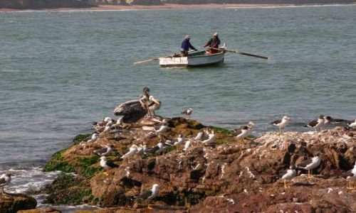 Zdjęcie PERU / brak / Rezerwat Paracas / Zatoczka