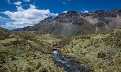 Zdjcie PERU / Huaraz / w drodze do Huaraz / w Kordylierach