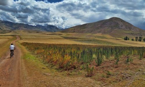 Zdjęcie PERU / Cusco / Moray / Rowerem po peruwiańskich Andach
