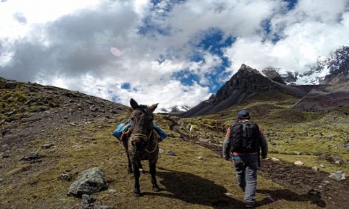 Zdjęcie PERU / Cusco / W okolicach szczytu Ausangate / Podczas trekkingu w Andach