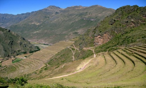 Zdjecie PERU / Andy / wita Dolina Inkw / Droga do riun Pisac - tarasy
