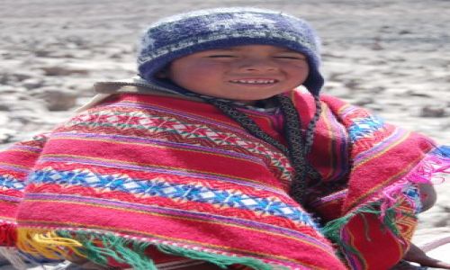 Zdjecie PERU / brak / Okolice Cusco - Saliny / Mały peruwiańczyk