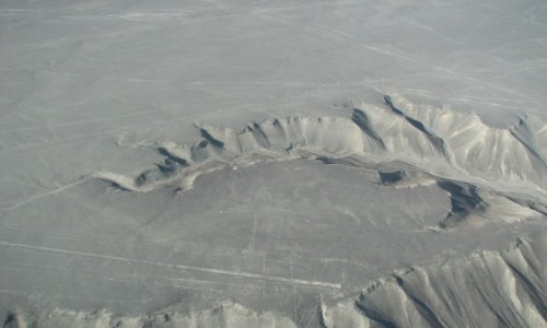 Zdjęcie PERU / NASCA / NASCA / koliber