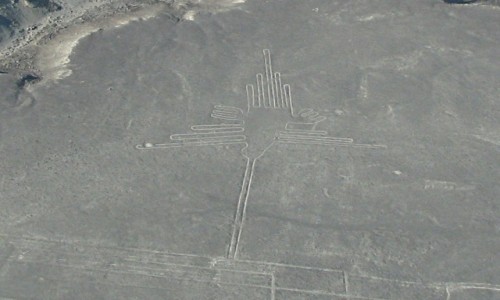 Zdjęcie PERU / NASCA / NASCA / koliber