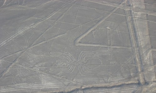Zdjecie PERU / Andy / Nazca z lotu ptaka / Pajczek i nie tylko