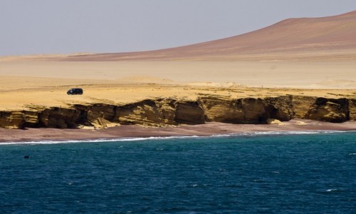 Zdjcie PERU / Paracas / NP Paracas / Na pwyspie Paracas