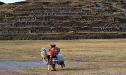 Zdjęcie PERU / Peru / Sacsayhuaman / Gdzie ci turyści ? Dajcie zarobić !