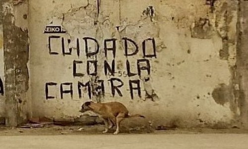 Zdjcie PERU / Lima / Callao / Uwaaj na kamery