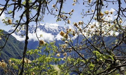 Zdjcie PERU / Cusco / Choquequirao / Nasoneczniony stok posiada swoisty mikroklimat