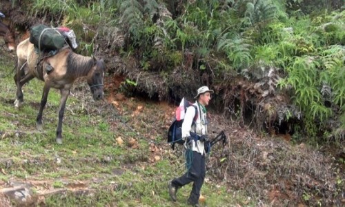 Zdjcie PERU / Vilcabamba / Vilcabamba / Ed i jego karawana