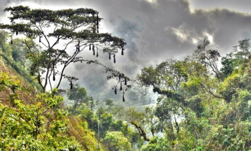 Zdjcie PERU / Vilcabamba / Vilcabamba / Dolina Duchw
