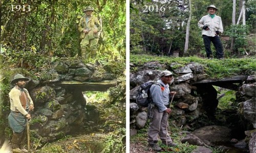 Zdjcie PERU / Vilcabamba / Vilcabamba / Most Hirama Binghama w Espiritu Pampa 