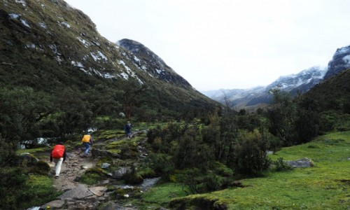 Zdjecie PERU / Andy / Cordillera Blanca / Santa Cruz Trek