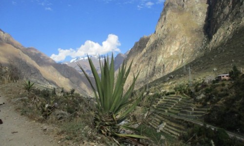 Zdjcie PERU / Machu Picchu / Inca Trail / Trekking Inca Trail